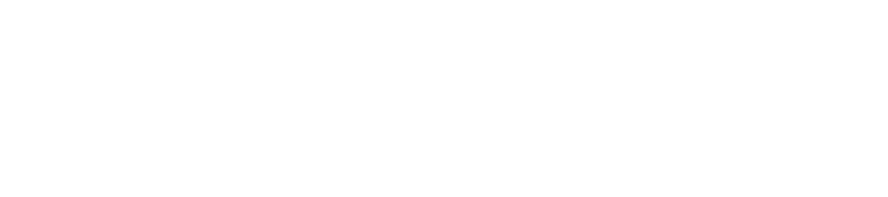 FirstLight-logo-white-transbg